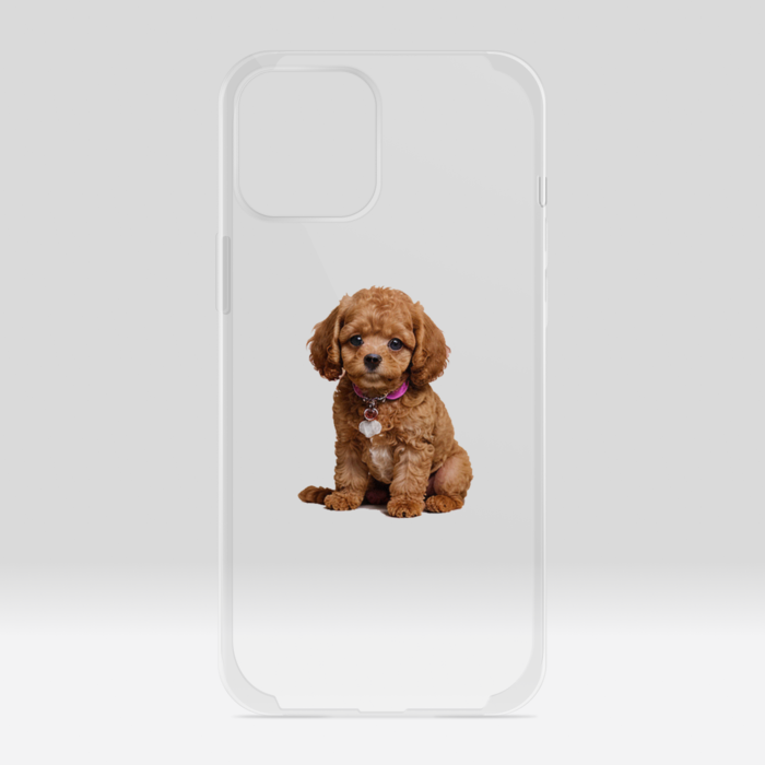 クリアiPhoneケース - iPhone12 ProMax