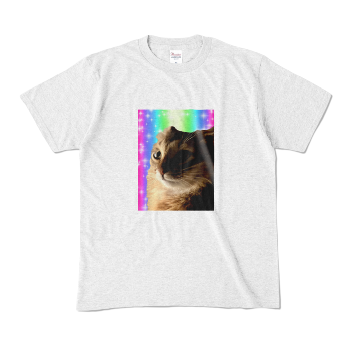 カラーTシャツ - M - アッシュ (淡色)