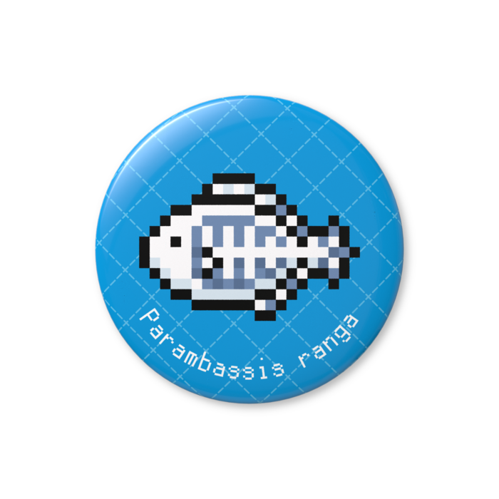 グラスフィッシュ