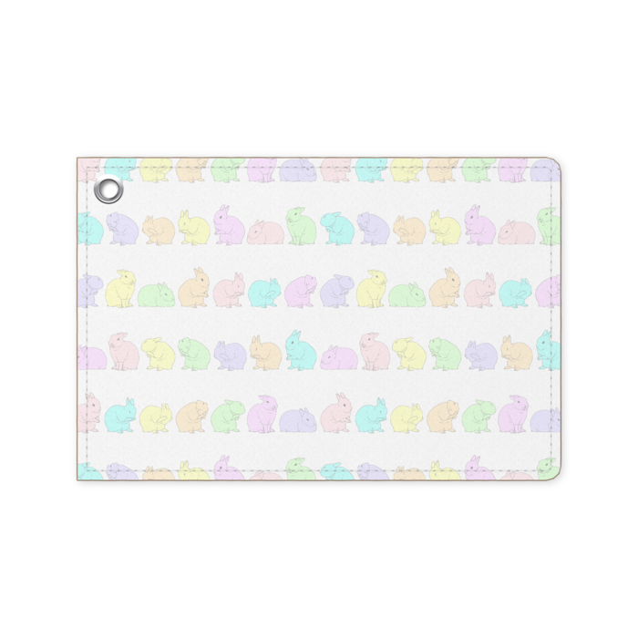 パスケース - 70 x 105 (mm)