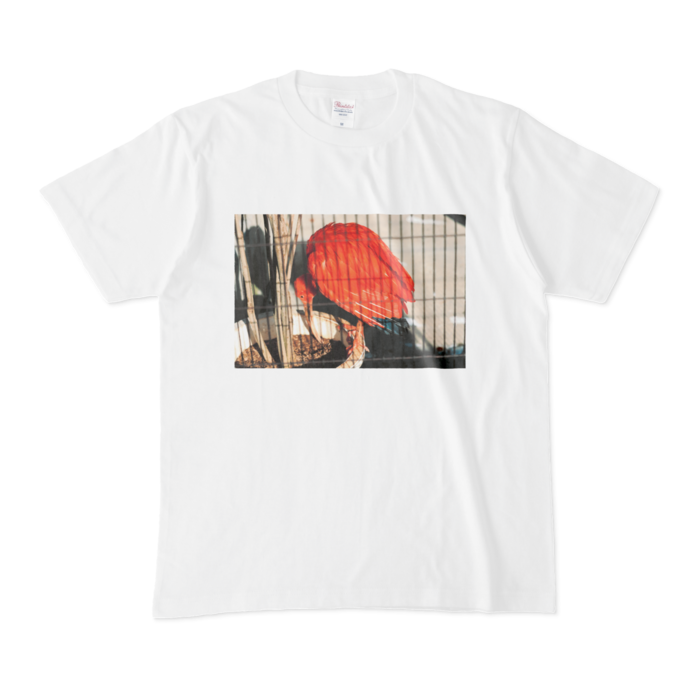 Tシャツ - M - 白