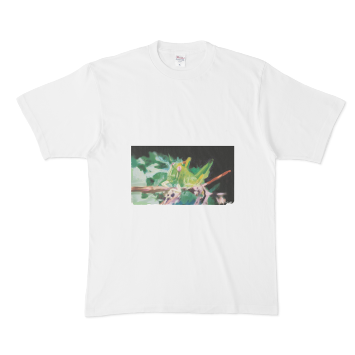 Tシャツ - XL