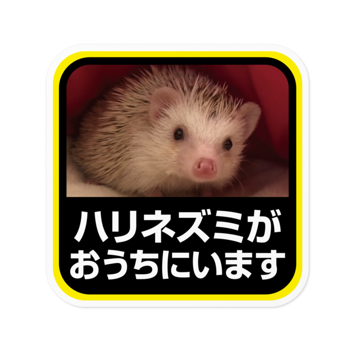 ステッカー - 100 x 100 (mm)