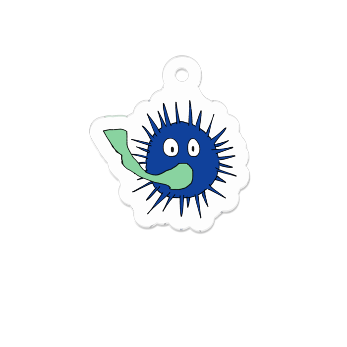 キャベツを食べるウニ 解放領域 Booth