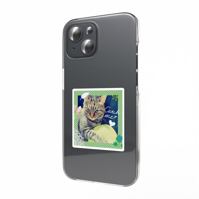 世界支配者のもまえ