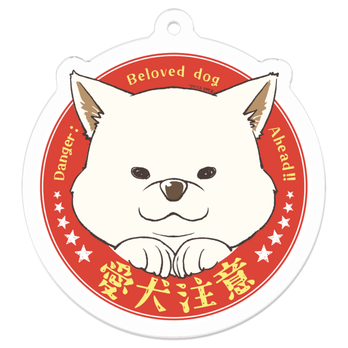 S（約50 x 50 mm）