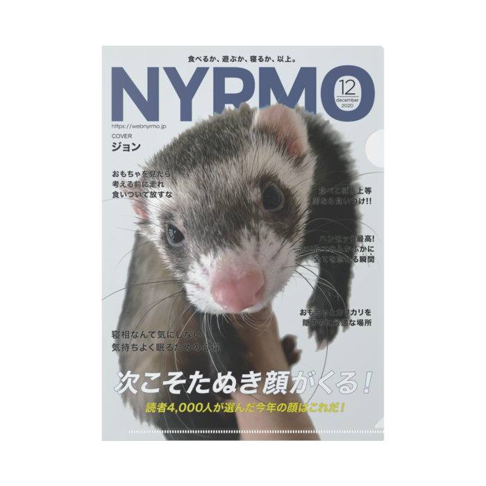 クリアファイル Nyrmo ぬん三郎商店 Booth