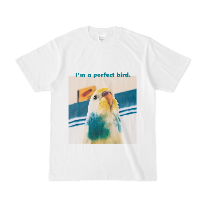 Tシャツ - S - 正面