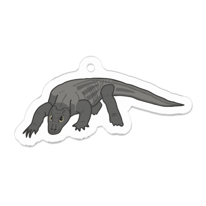 こもどおおとかげ