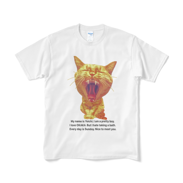 Tシャツ(短納期) - M - ホワイト