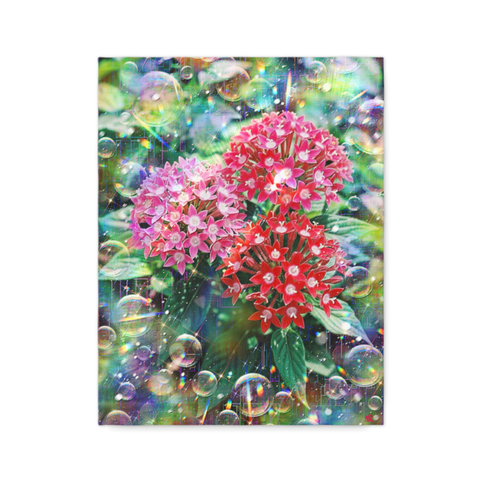 キャンバス - F6