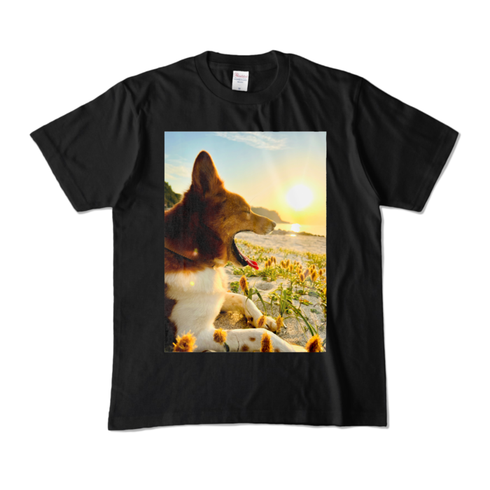カラーTシャツ - M - ブラック (濃色)