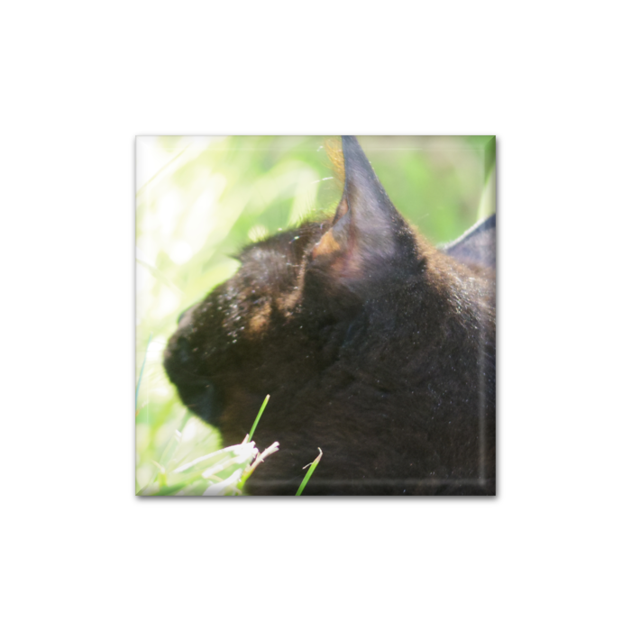 缶バッジ - 四角形40mm