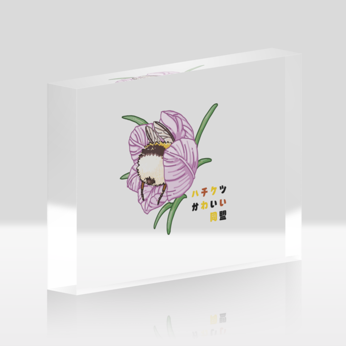 アクリルブロック - 148x100mm