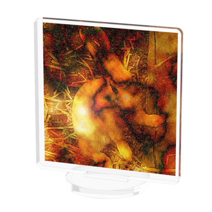 アクリルフィギュア - 50x50mm