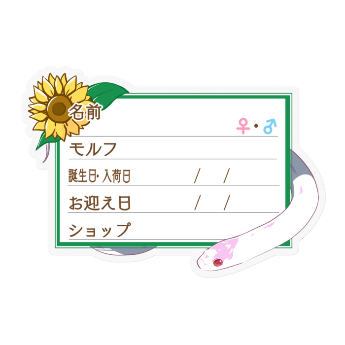 【🐍お名前ステッカー】カリキン(アルビノハイホワイト) ‐ひまわり