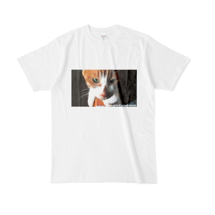 Tシャツ - L - 白