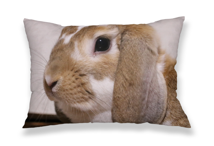 枕カバー - 43x63cm - 片面