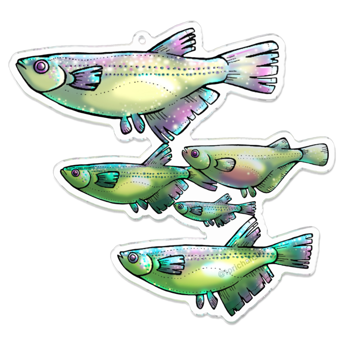 群　ー　100 x 100㍉／コーティングなし