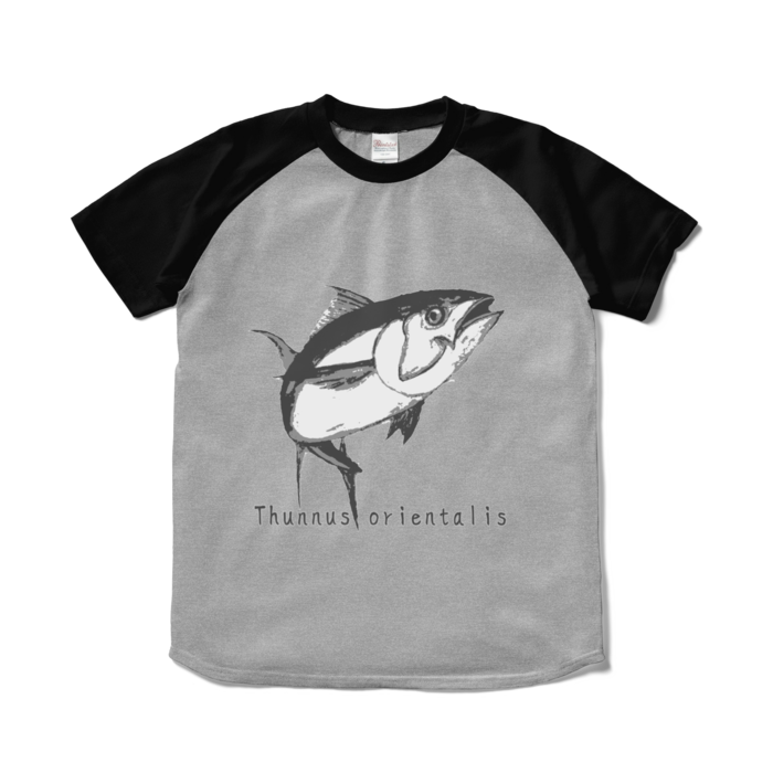 ラグランTシャツ - S - 正面