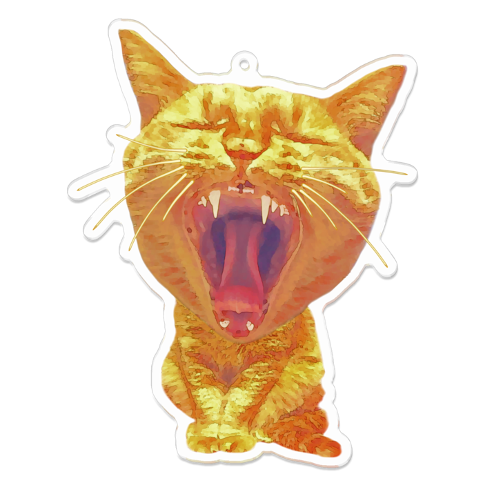 アクリルキーホルダー - 100 x 100 (mm)