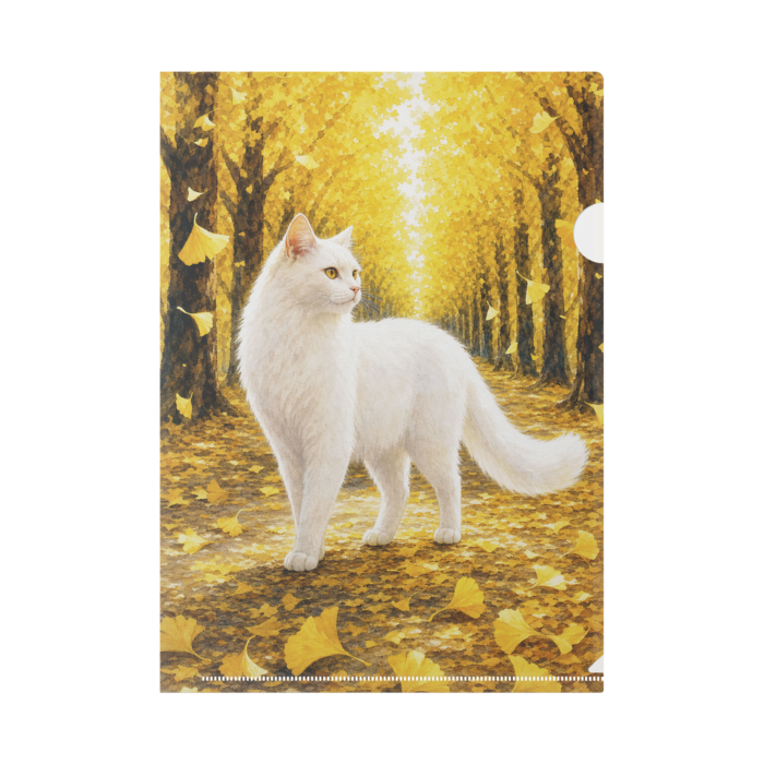 series_5_6