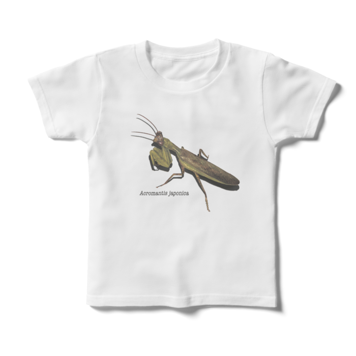 キッズTシャツ - 120cm - 正面