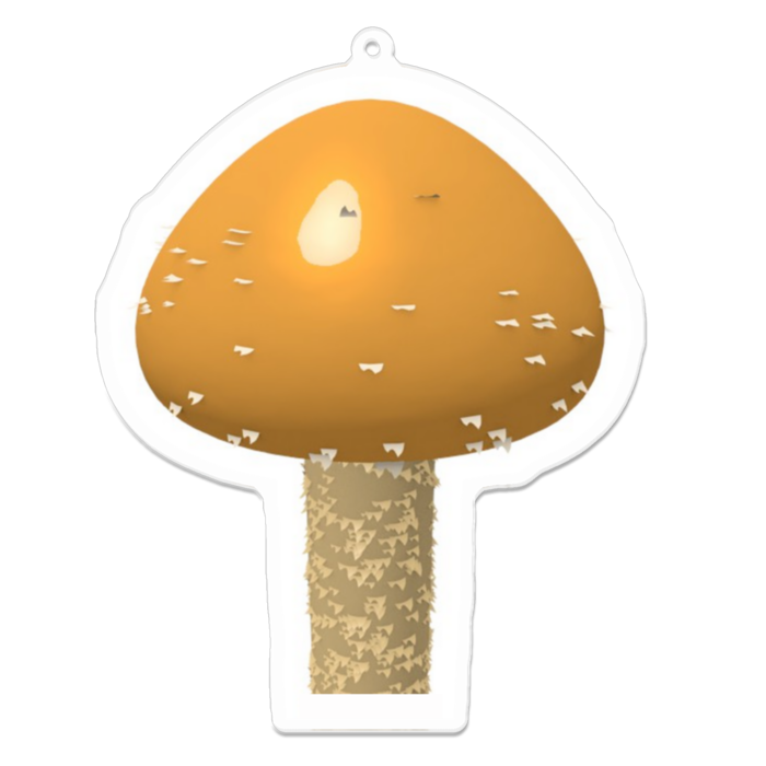 アクリルキーホルダー - 100 x 100 (mm)