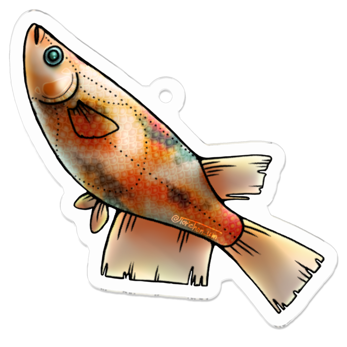 三色　ー　50 x 50㍉／コーティングあり