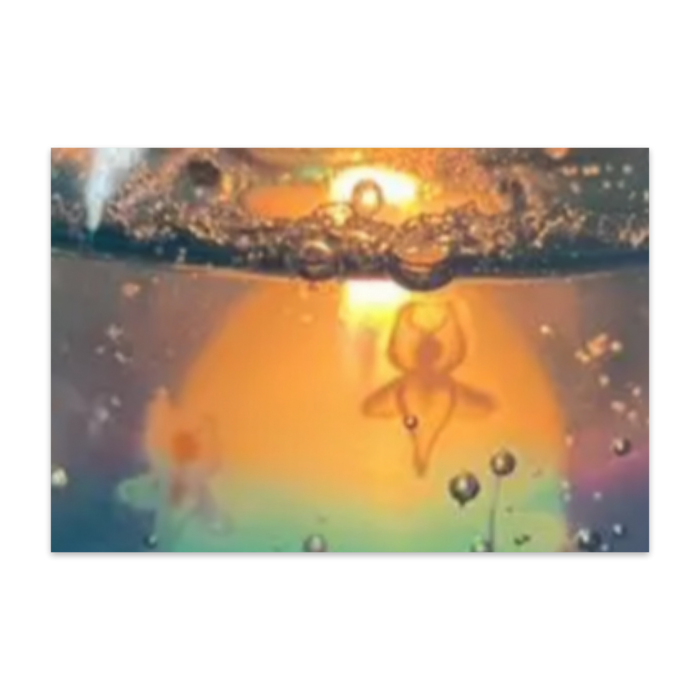 ポストカード(10枚セット) - ヴァンヌーボVGスノーホワイト195kg