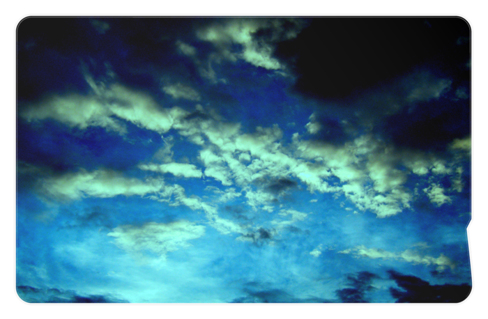 ICカードステッカー - 約85.7x53.9(mm)