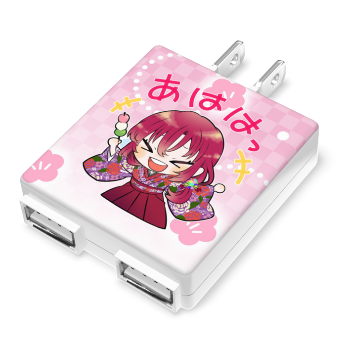 ACアダプター - 50×55mm