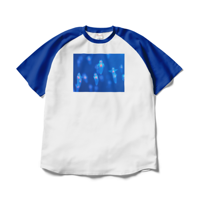 ラグランTシャツ - XL - ホワイト×ロイヤルブルー