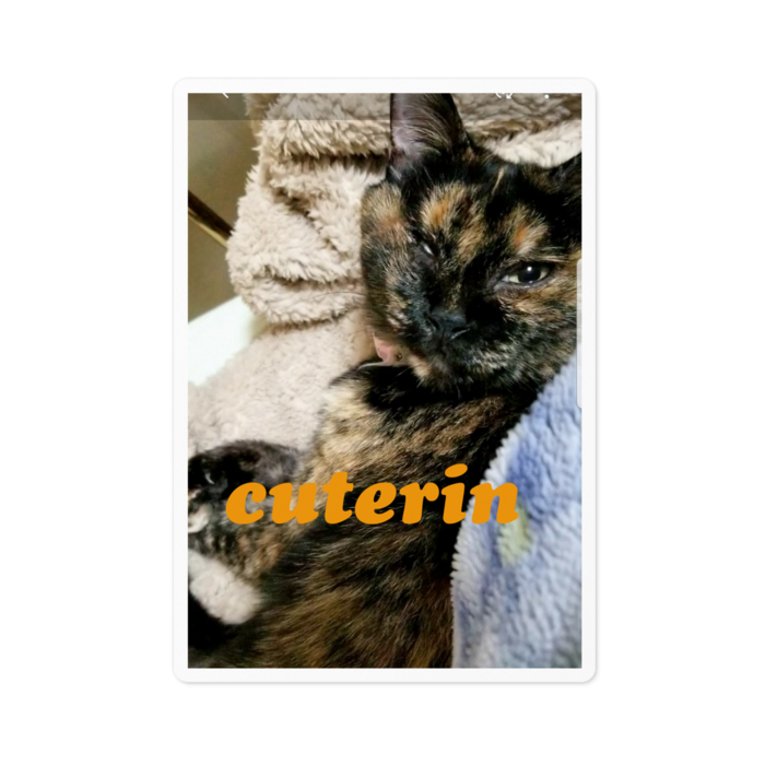 ステッカー - 100 x 100 (mm)