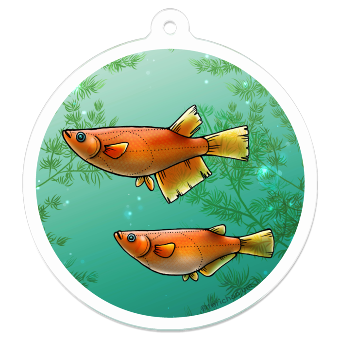 楊貴妃　ー　50 x 50㍉／コーティングなし