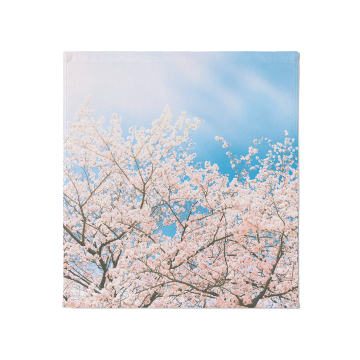 タオル - 大