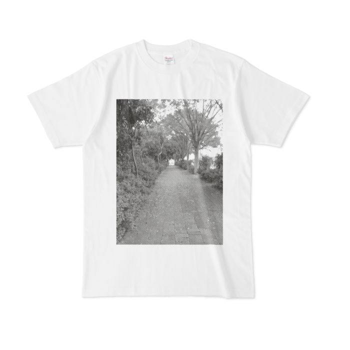Tシャツ - L - 白