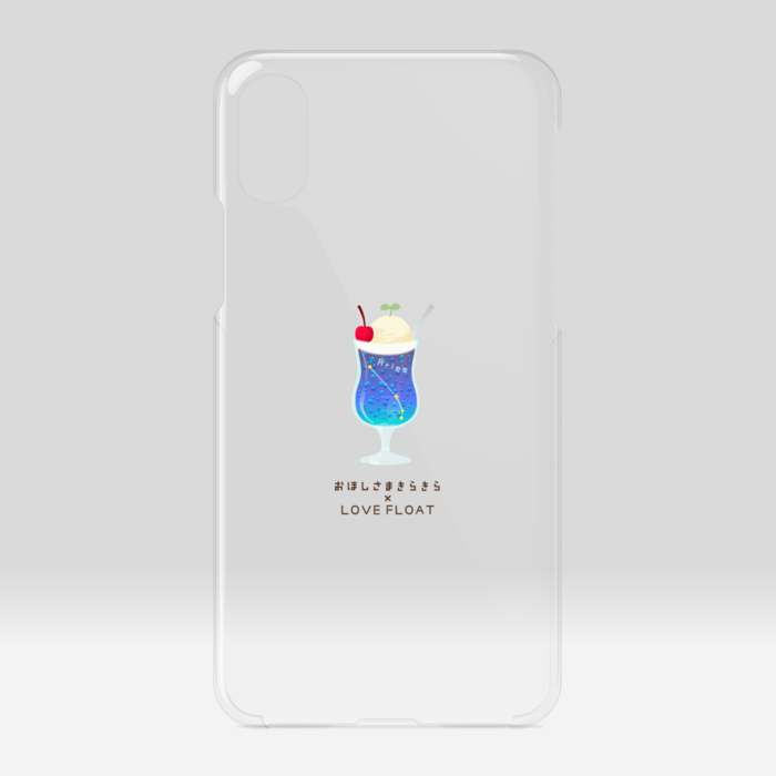 iPhone X / XS