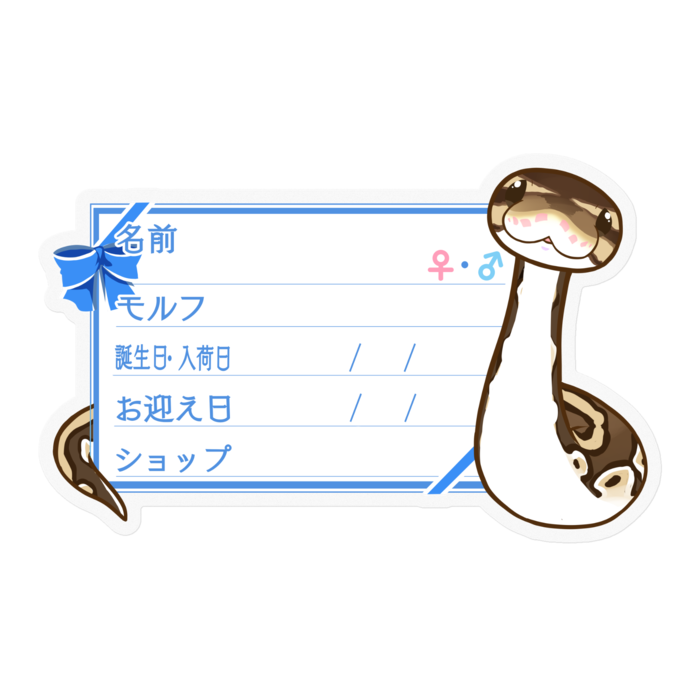 【🐍お名前ステッカー】ボールパイソン(ノーマル) ‐リボン/ブルー