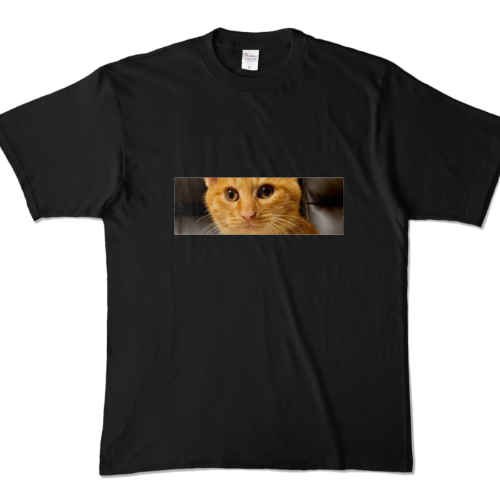 カラーTシャツ - XL - ブラック (濃色)