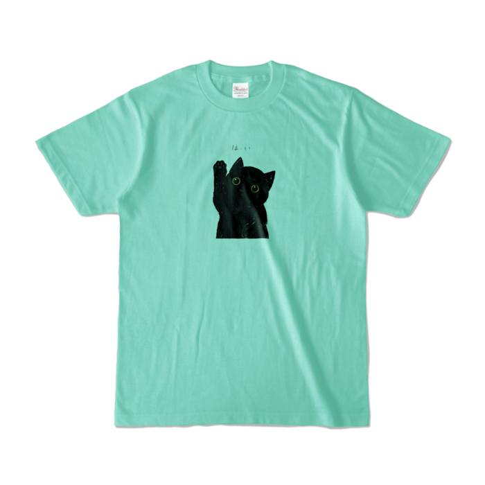 カラーTシャツ - S - アイスグリーン (淡色)
