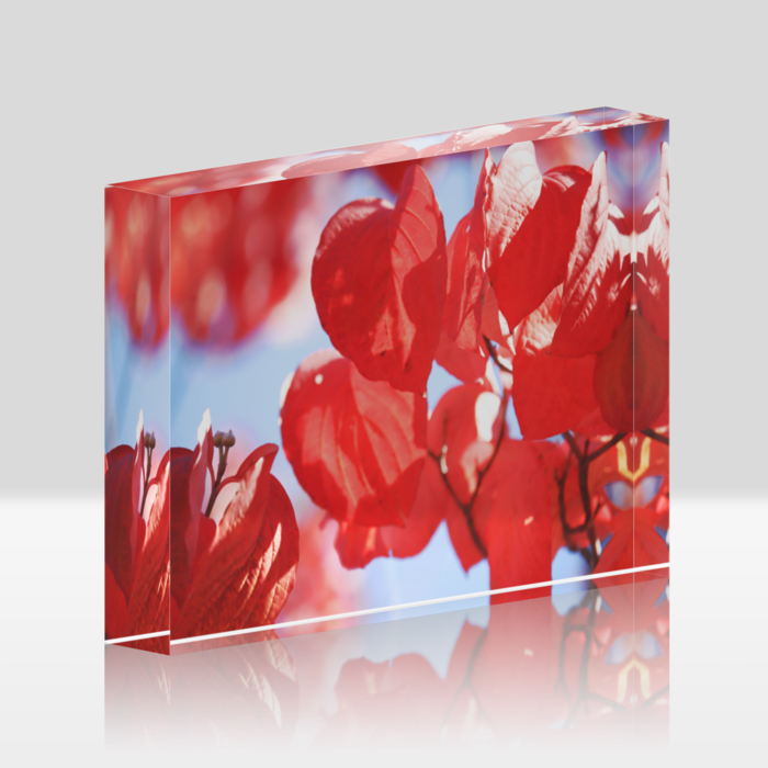 アクリルブロック - 148 × 100 (mm)