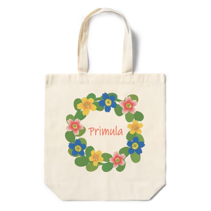 エコバッグ - 360×370×110(mm)