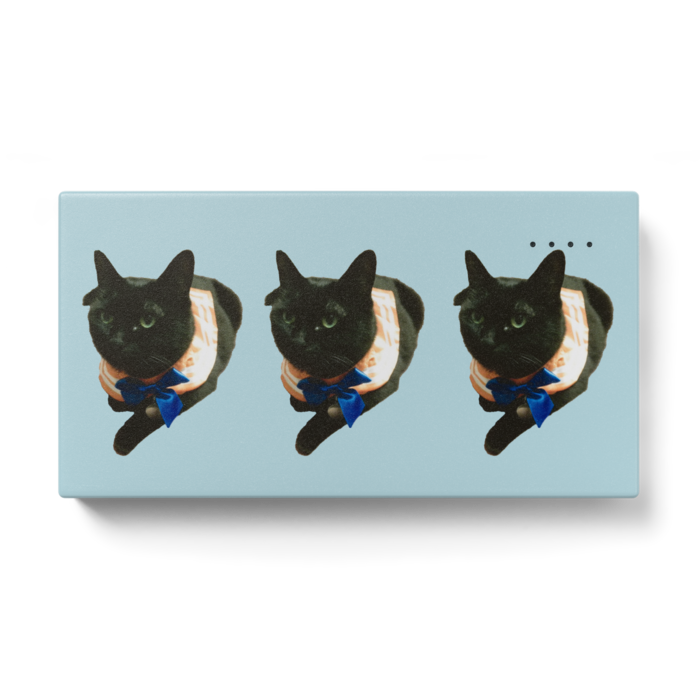 モバイルバッテリー - 123 x 65 (mm)