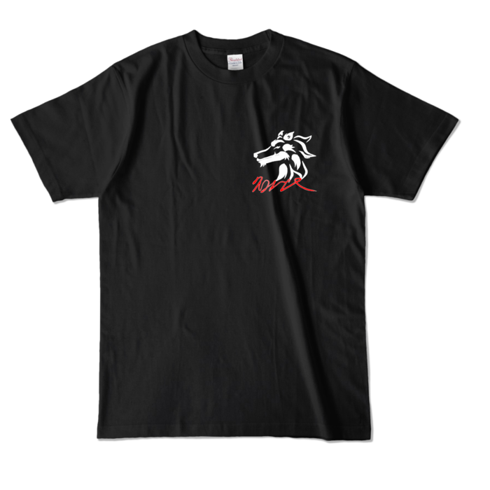 カラーTシャツ - L - ブラック (濃色)