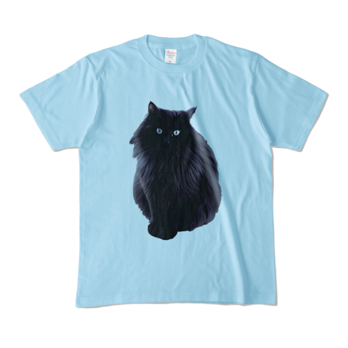 カラーTシャツ - M - ライトブルー (淡色)
