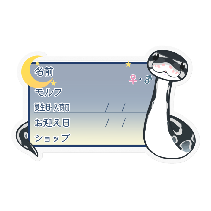 【🐍お名前ステッカー】ボールパイソン(アザン)-夜