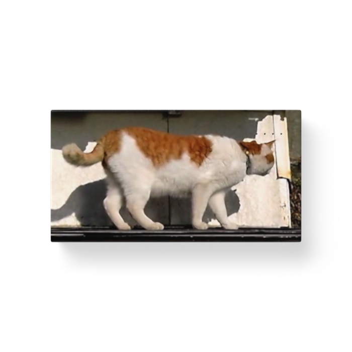 モバイルバッテリー - 横