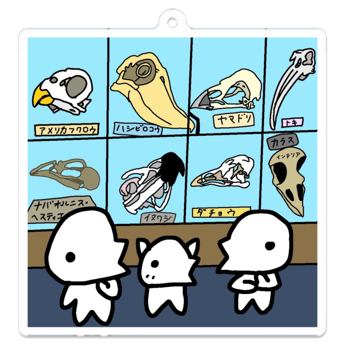 アクリルキーホルダー - 70 x 70 (mm) - いろんな鳥の頭骨
