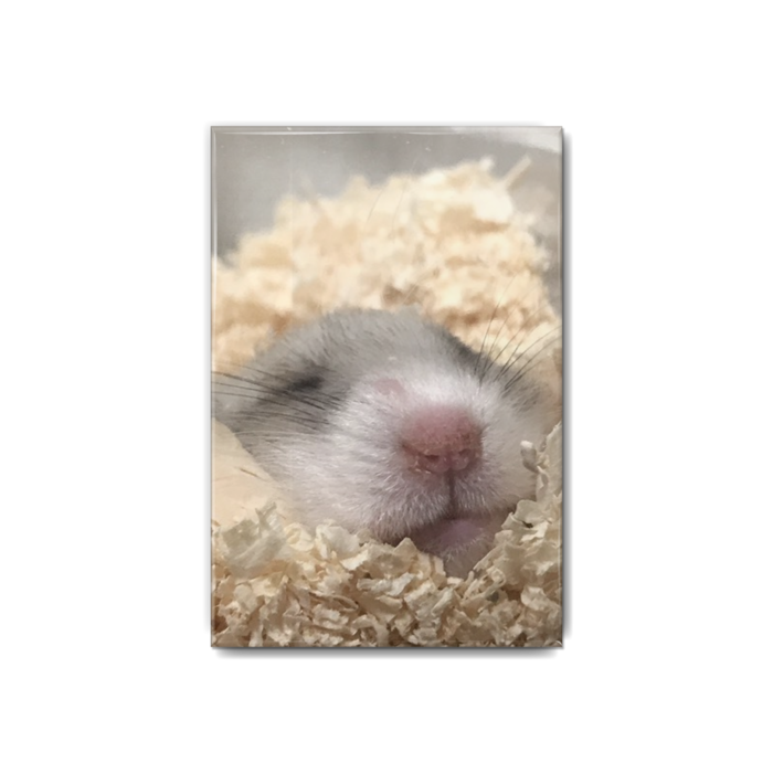 缶バッジ - 54x80mm